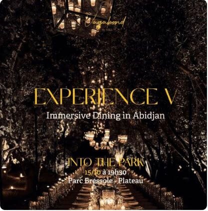 Expérience V_Vagabondbyjuka