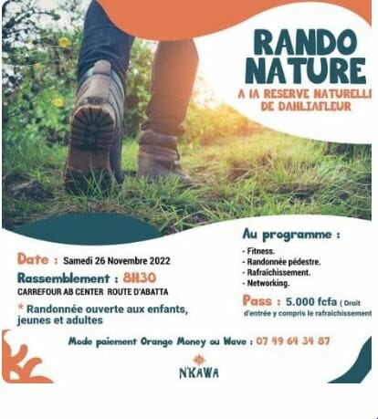 Randonaturedahliafleur